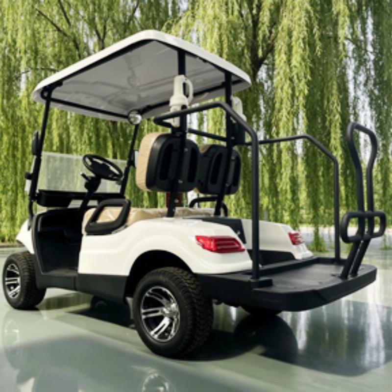 Golf Bag Stand Cart - 중국산 전기 골프 카트 리튬 배터리