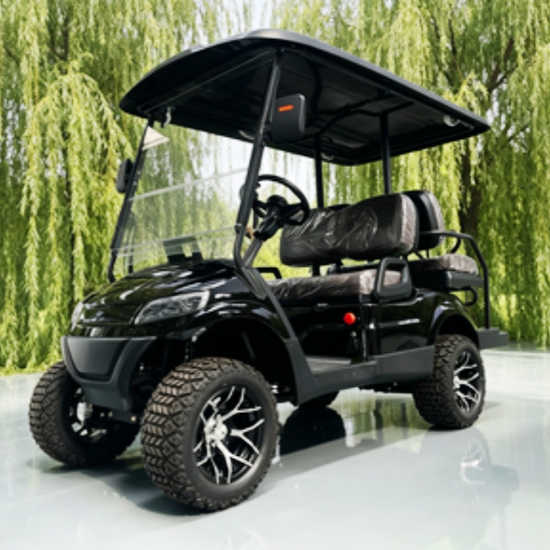 Golf Bag Stand Cart - 리튬 배터리 클럽 2인승 전기 골프