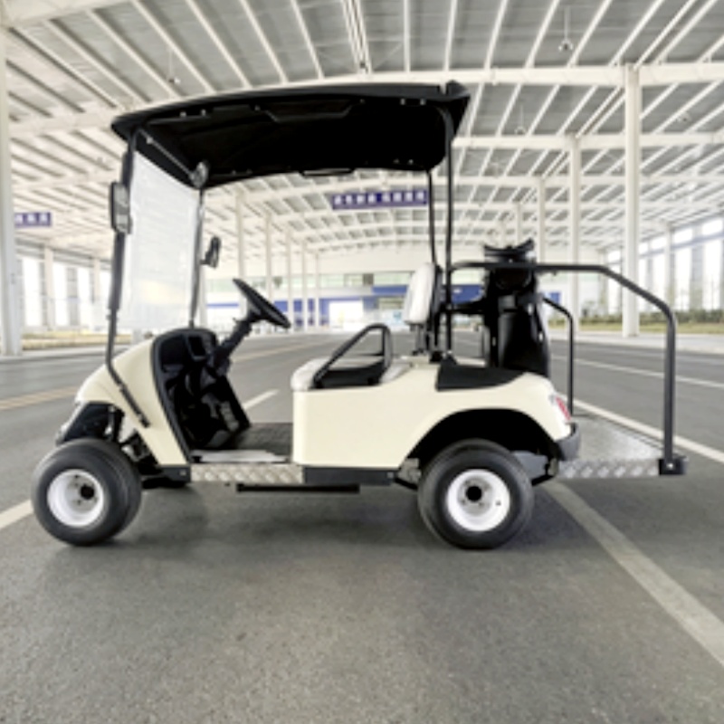 2026년 신제품 2인승 72V 리튬 배터리 전기 골프 - Golf Bag Stand Cart 리뷰 및 가격