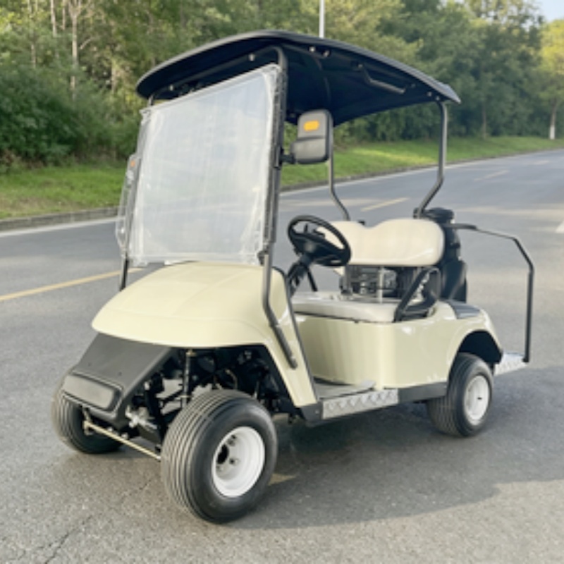 2026년 신제품 2인승 72V 리튬 배터리 전기 골프 - Golf Bag Stand Cart 리뷰 및 가격