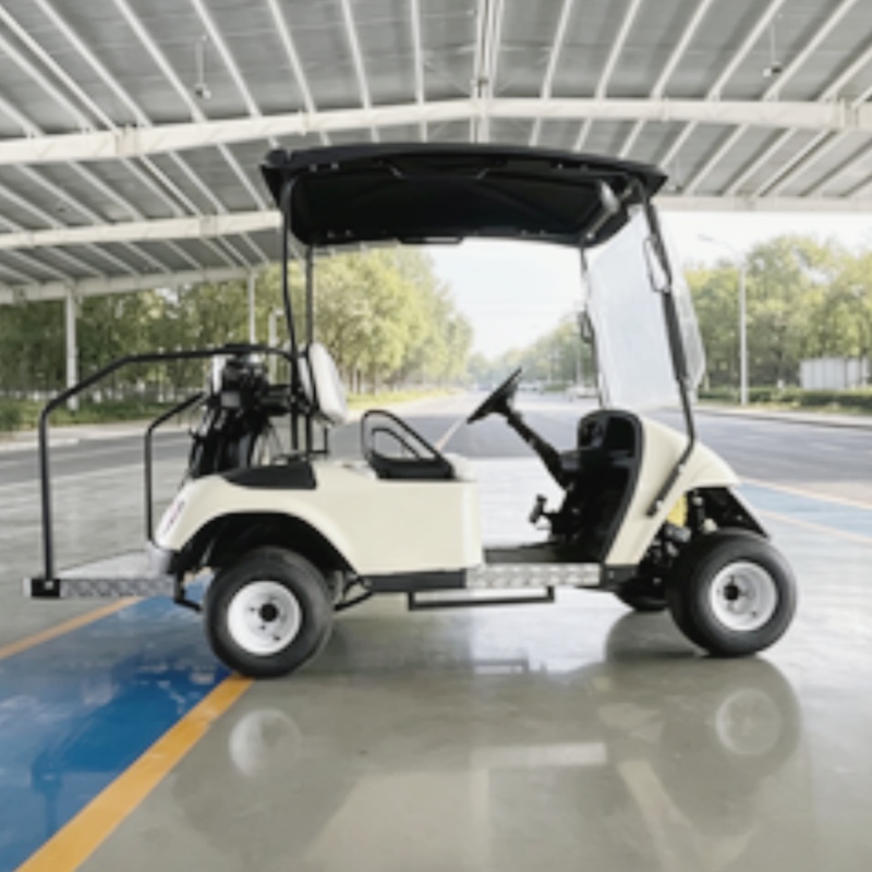 2026년 신제품 2인승 72V 리튬 배터리 전기 골프 - Golf Bag Stand Cart 리뷰 및 가격