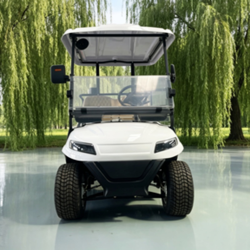 중국산 전기 골프 카트 리튬 배터리 2인승 60/72V - Golf Bag Stand Cart 리뷰 및 가격