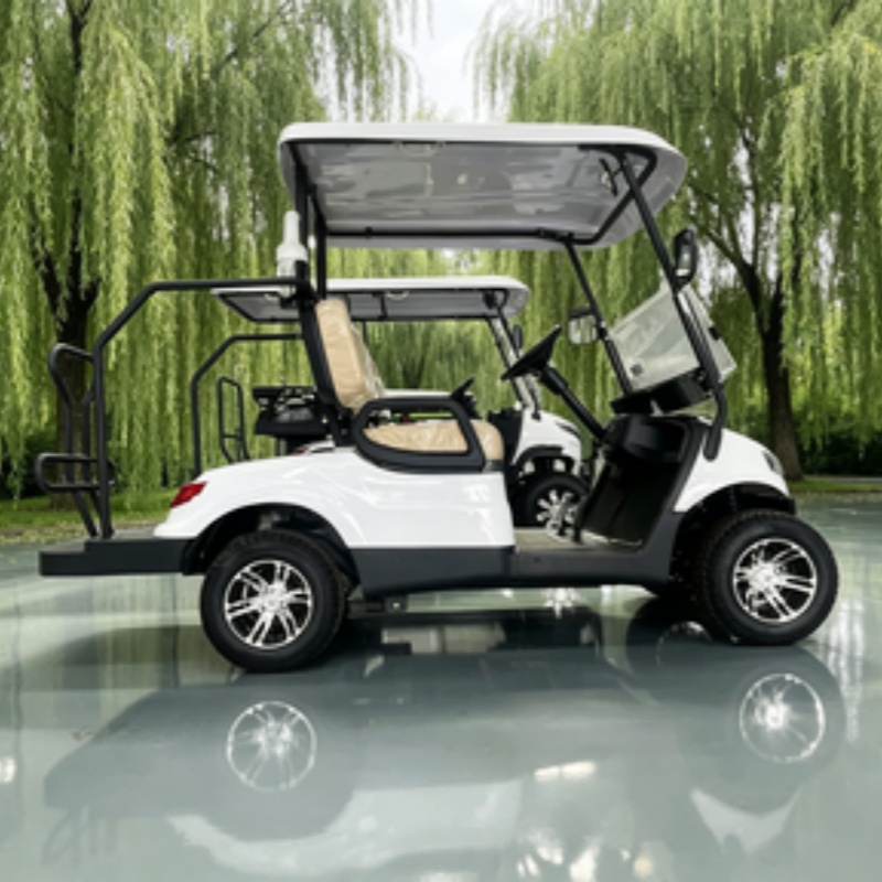 중국산 전기 골프 카트 리튬 배터리 2인승 60/72V - Golf Bag Stand Cart 리뷰 및 가격