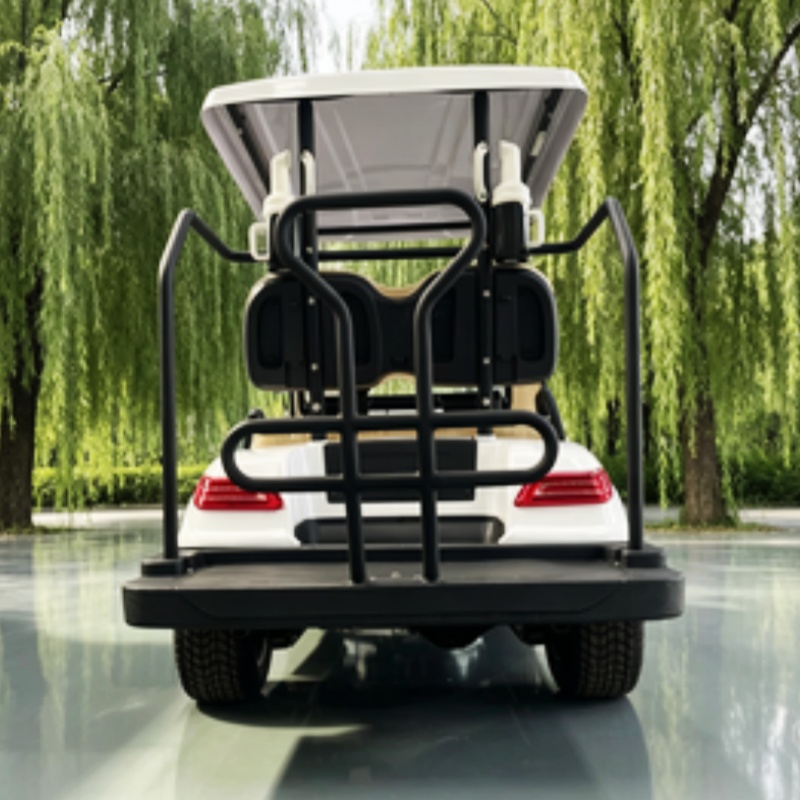 중국산 전기 골프 카트 리튬 배터리 2인승 60/72V - Golf Bag Stand Cart 리뷰 및 가격