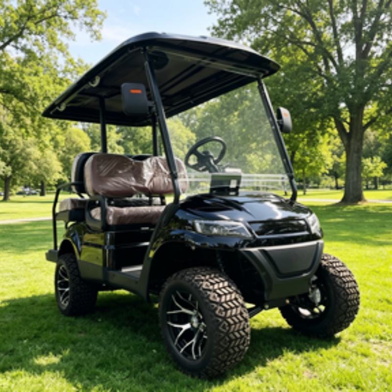 골프 카트 2인승 전기 골프 카트 2인용 사냥 카트 5 - Golf Bag Stand Cart 리뷰 및 가격