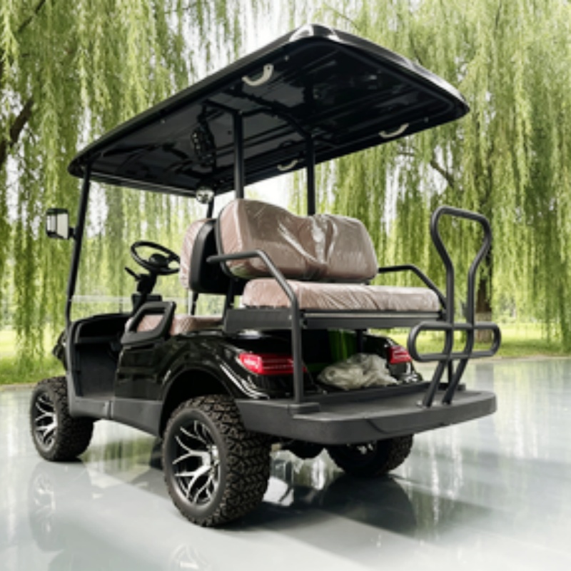 리튬 배터리 클럽 2인승 전기 골프 카트 판매, 사냥용 - Golf Bag Stand Cart 리뷰 및 가격