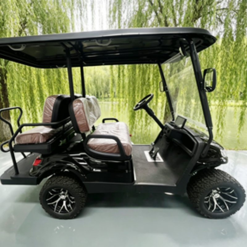 리튬 배터리 클럽 2인승 전기 골프 카트 판매, 사냥용 - Golf Bag Stand Cart 리뷰 및 가격