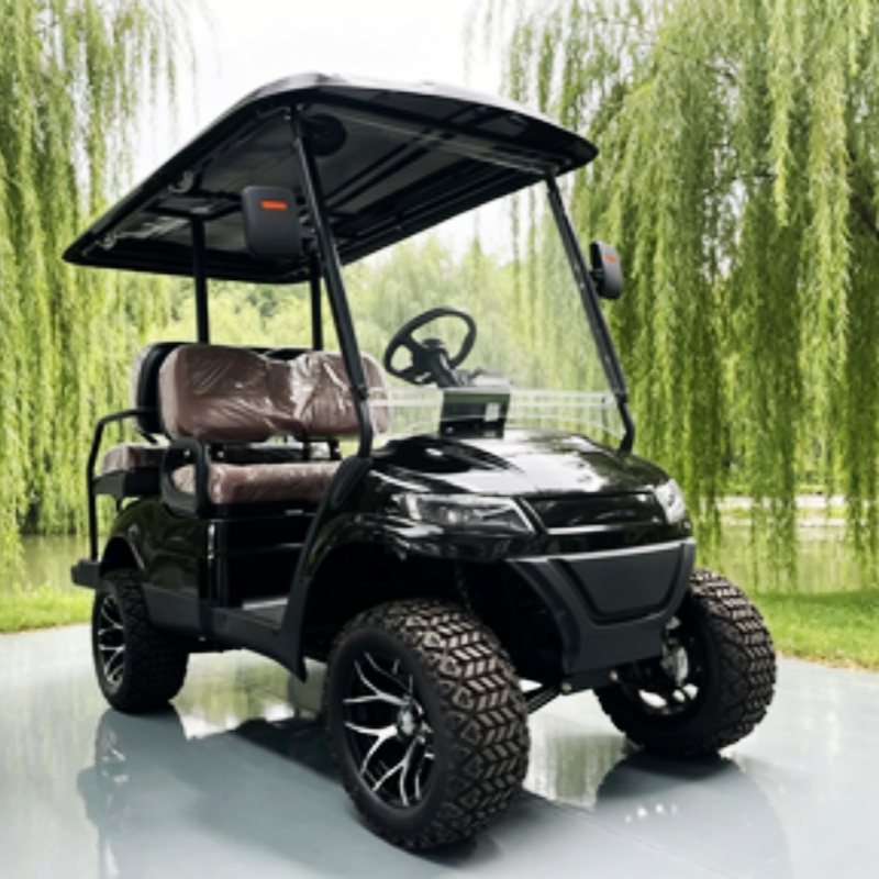 리튬 배터리 클럽 2인승 전기 골프 카트 판매, 사냥용 - Golf Bag Stand Cart 리뷰 및 가격