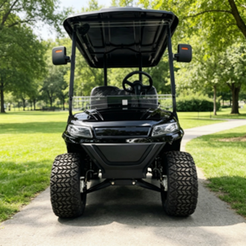 도로주행 가능 골프 카트 버기 관광용 전기 골프 카트  - Golf Bag Stand Cart 리뷰 및 가격